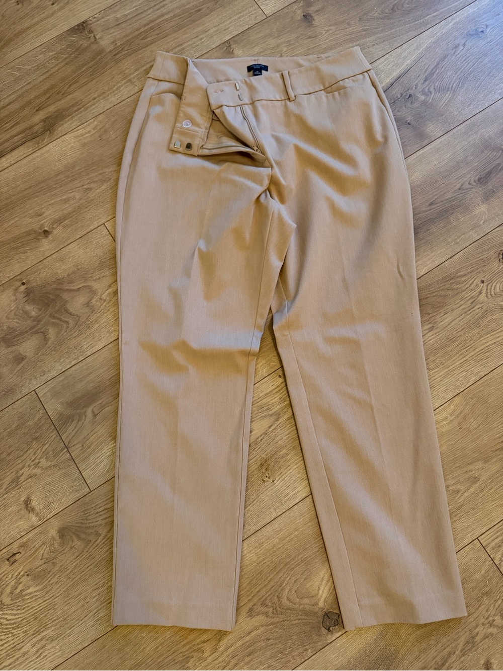 Ann Taylor Men's Light Tan Dress Pants